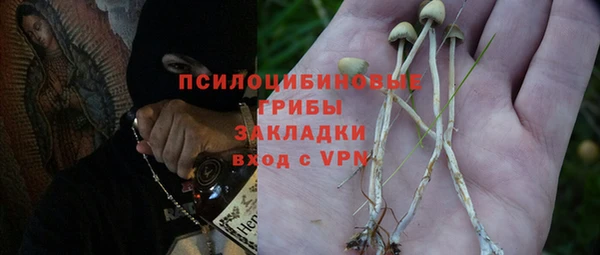 ECSTASY Гусев
