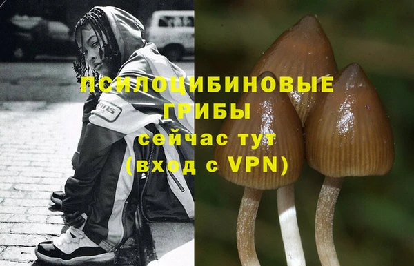 первитин Гусь-Хрустальный