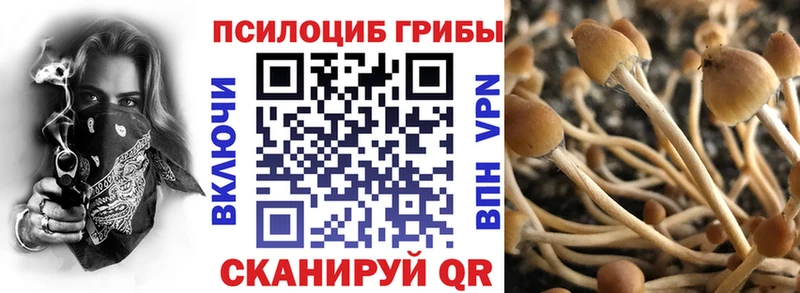 Галлюциногенные грибы Psilocybe  закладки  Оренбург 